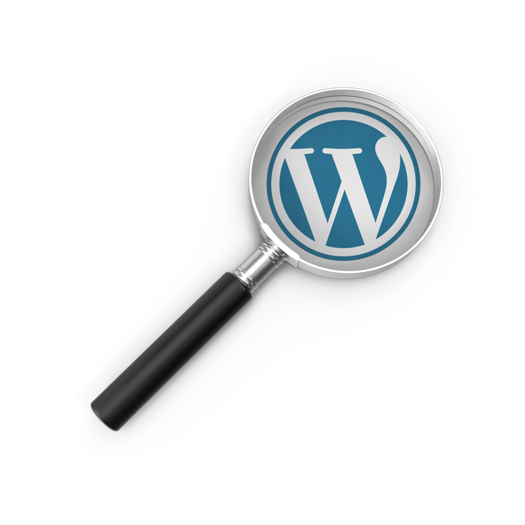WordPress SEO Agentur